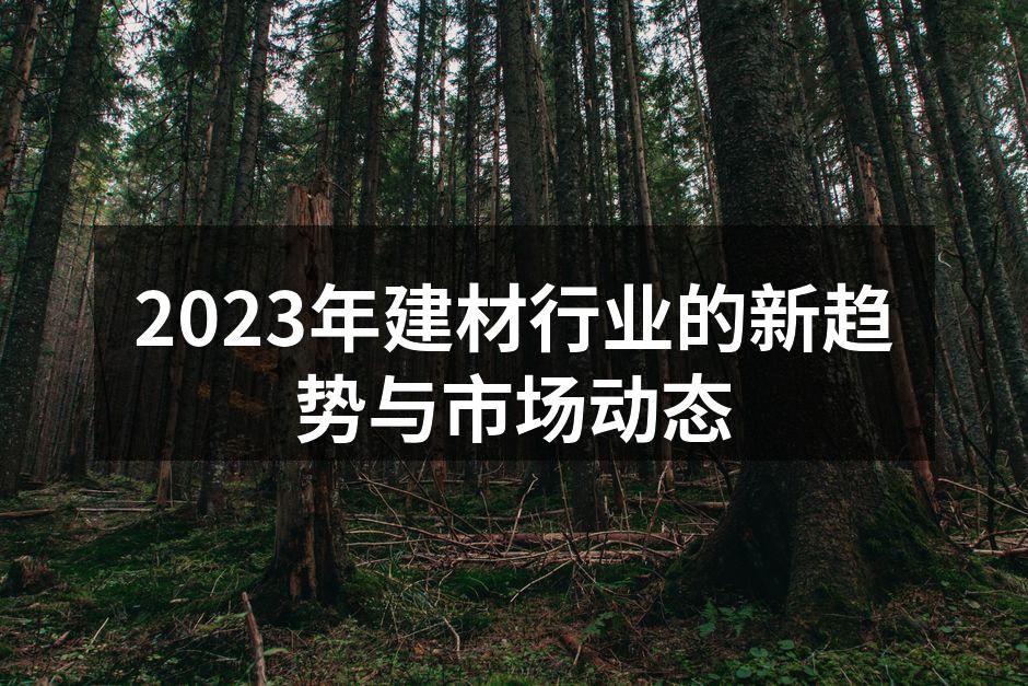 2023年建材行业的新趋势与市场动态