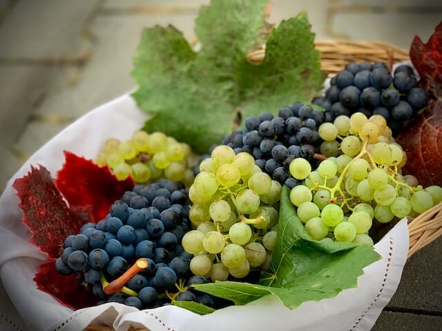 uvas