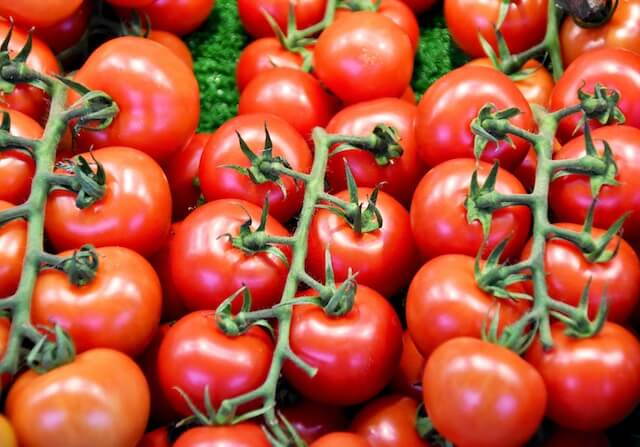 tomates